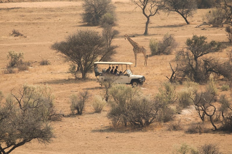Future Wildlife Tours